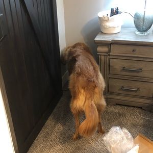 Meet your Posher, Carl